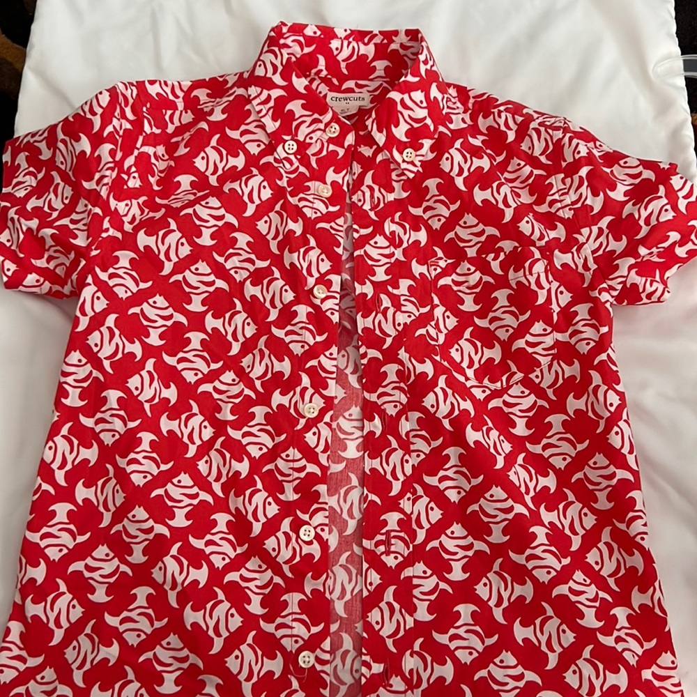 CrewCuts button down